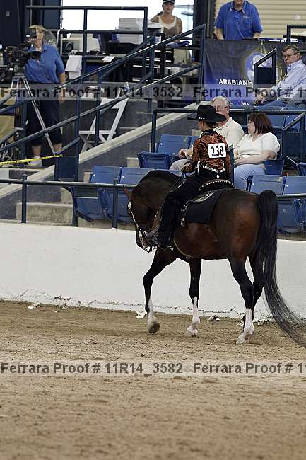 Proof 11r14_3582