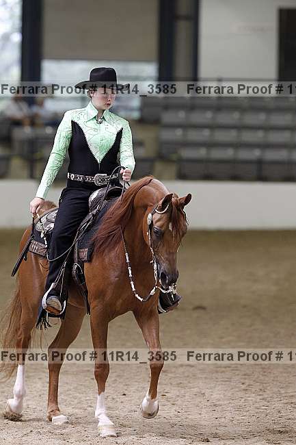 Proof 11r14_3585