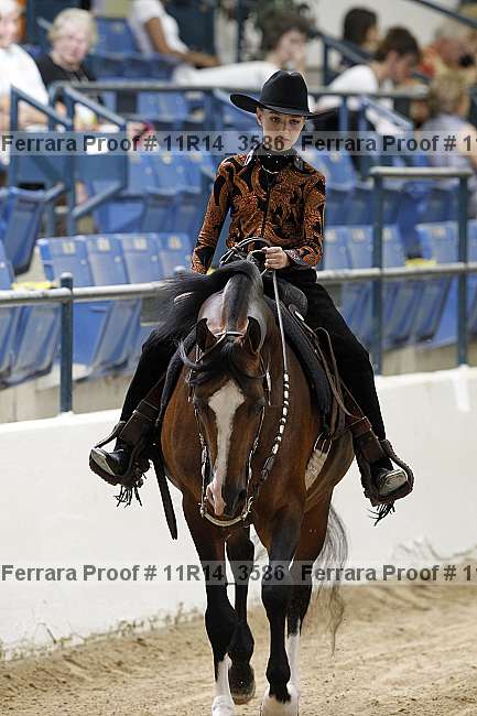 Proof 11r14_3586