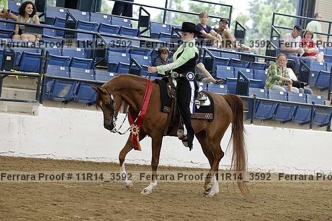 Proof 11r14_3592