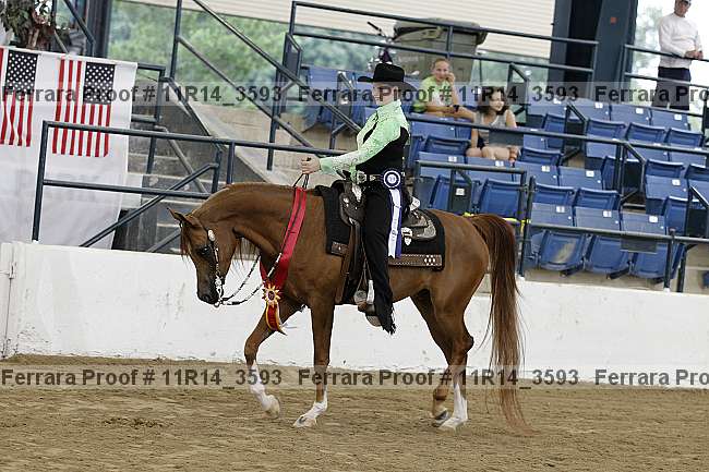 Proof 11r14_3593