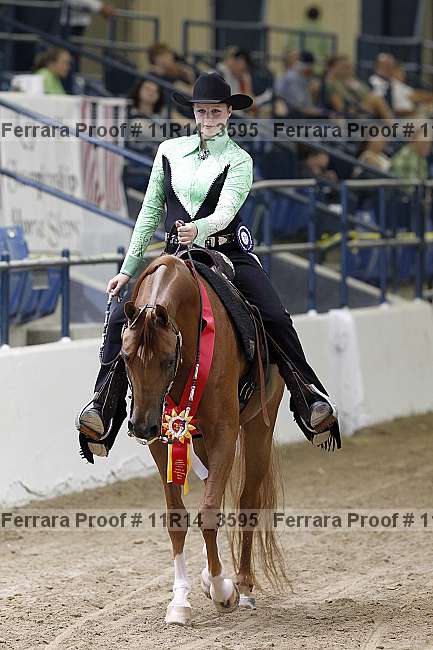 Proof 11r14_3595