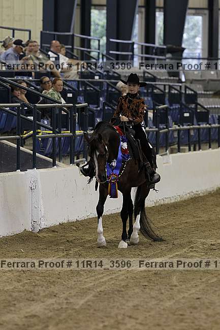 Proof 11r14_3596