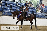 11r14_3597 proof