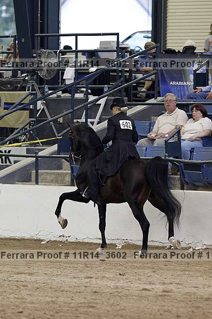 Proof 11r14_3602