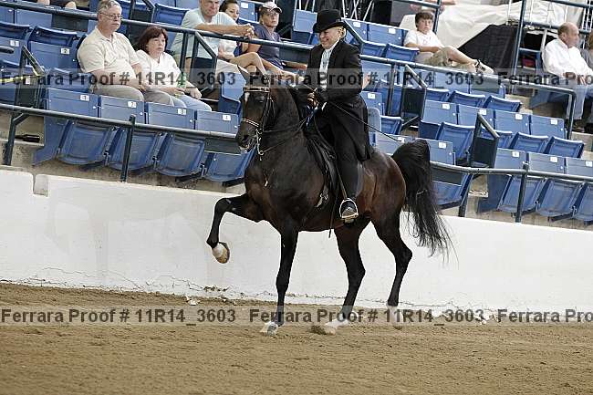 Proof 11r14_3603