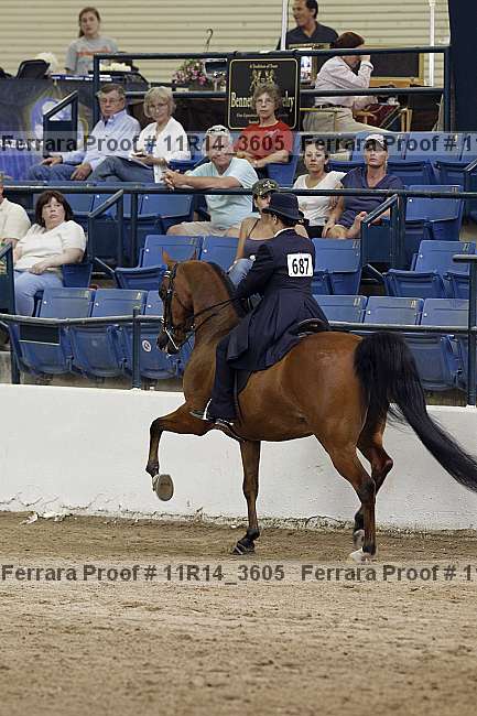 Proof 11r14_3605