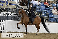 11r14_3607 proof