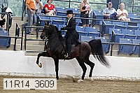 11r14_3609 proof