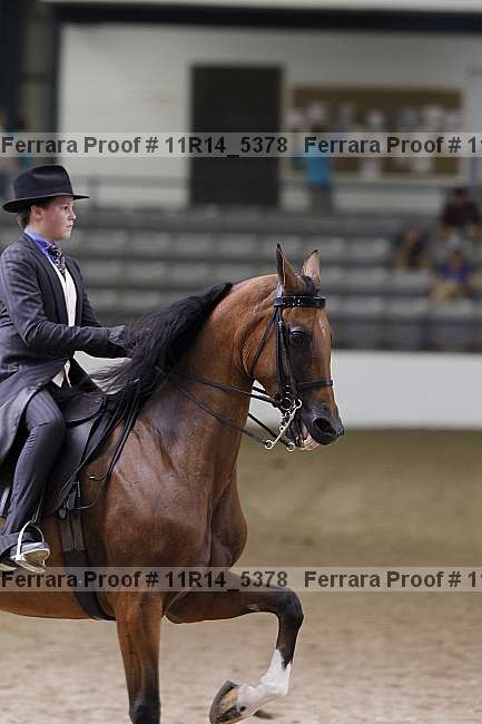Proof 11r14_5378