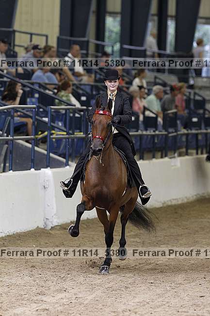 Proof 11r14_5380