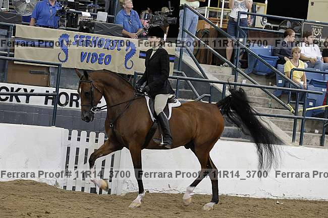 Proof 11r14_3700