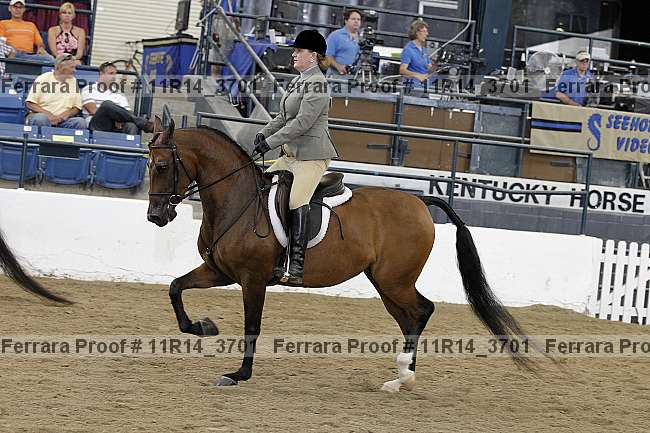 Proof 11r14_3701