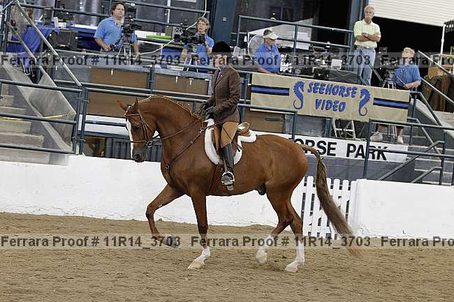 Proof 11r14_3703