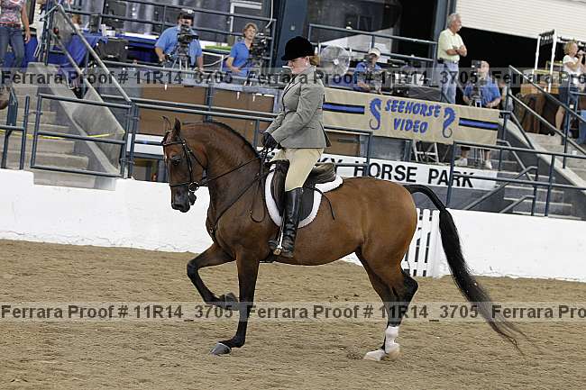 Proof 11r14_3705
