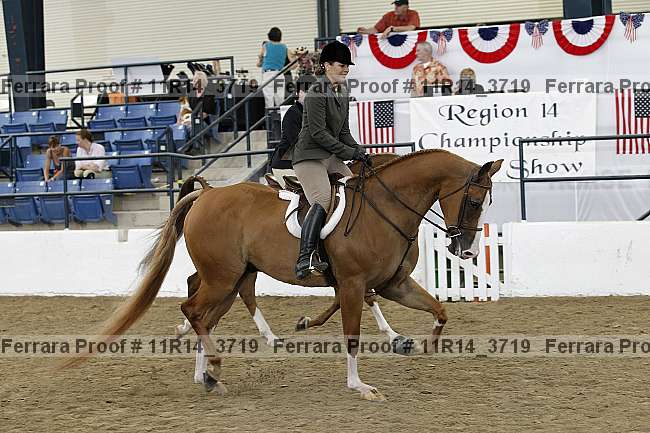 Proof 11r14_3719