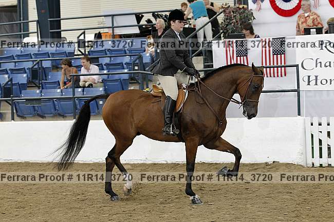 Proof 11r14_3720