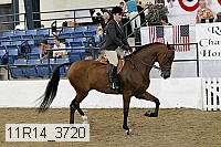 11r14_3720 proof