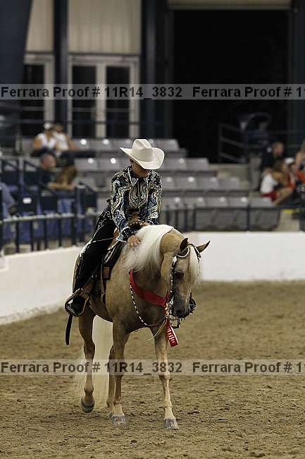 Proof 11r14_3832