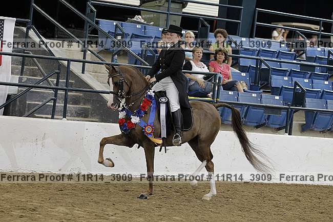 Proof 11r14_3909
