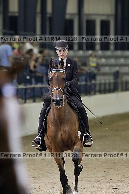 Proof 11r14_3928