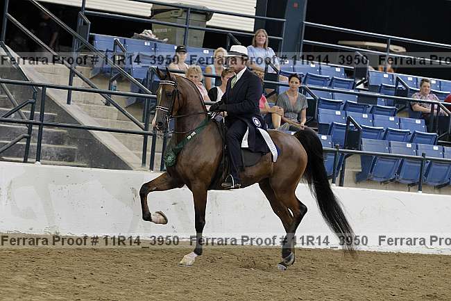 Proof 11r14_3950