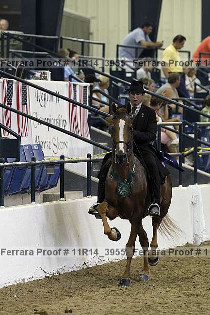 Proof 11r14_3955