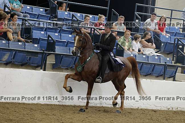 Proof 11r14_3956