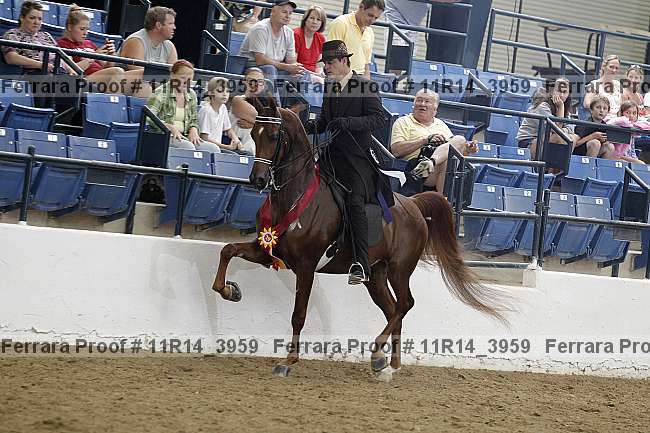Proof 11r14_3959