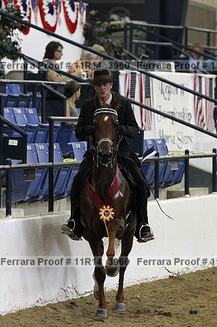 Proof 11r14_3960