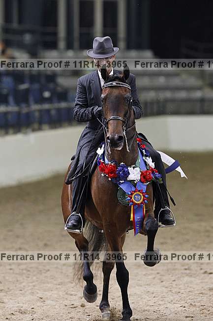 Proof 11r14_3965