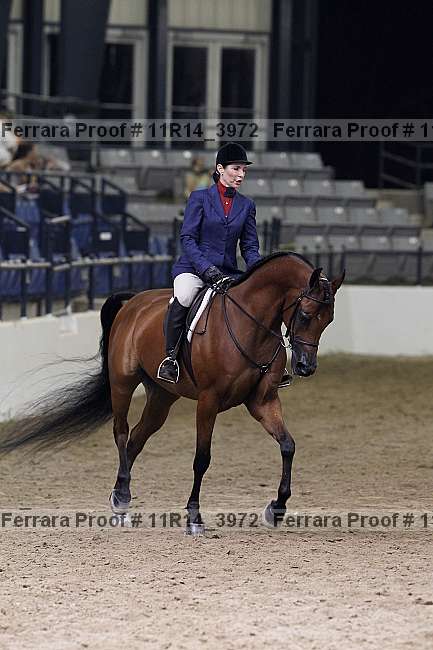 Proof 11r14_3972
