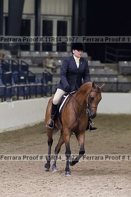 Proof 11r14_3977