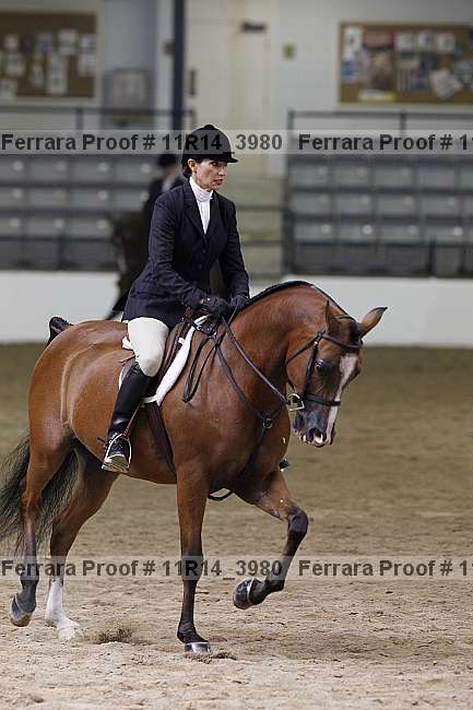 Proof 11r14_3980
