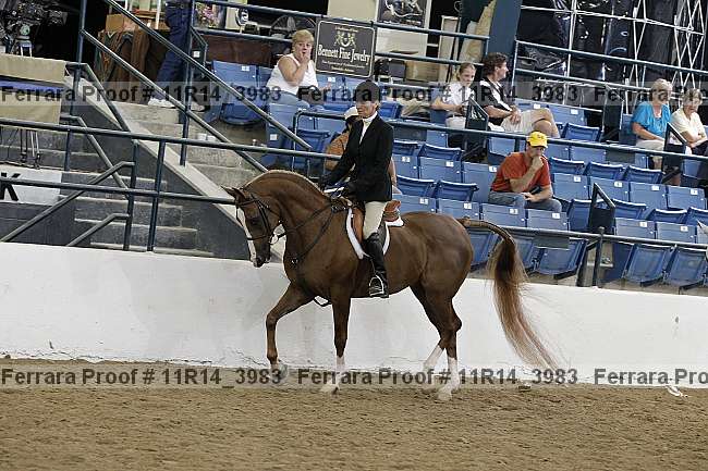 Proof 11r14_3983