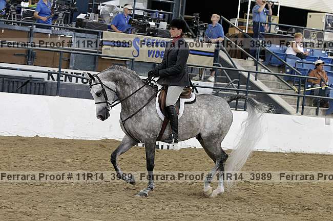 Proof 11r14_3989