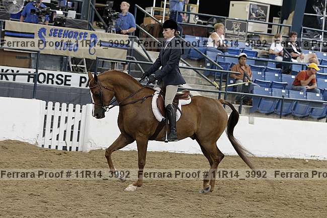 Proof 11r14_3992