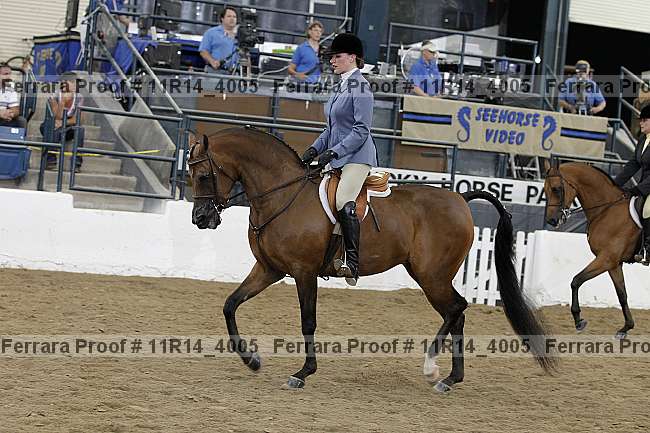 Proof 11r14_4005