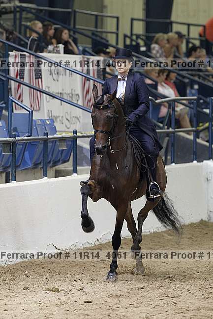 Proof 11r14_4061