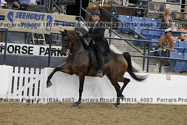 Proof 11r14_4063