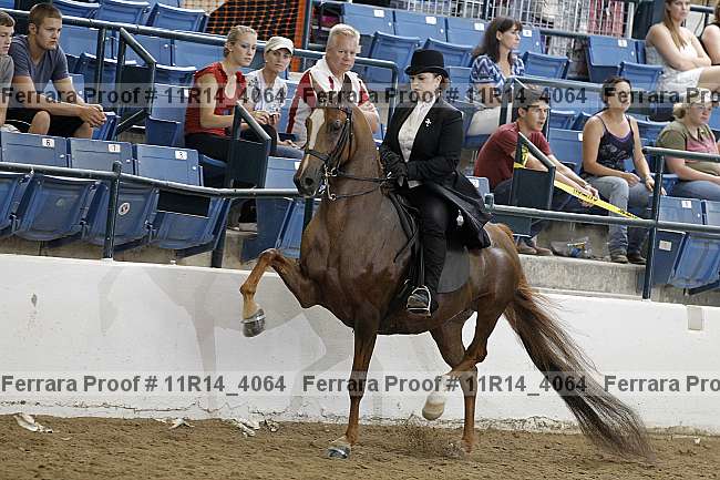 Proof 11r14_4064