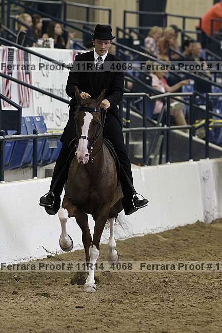 Proof 11r14_4068