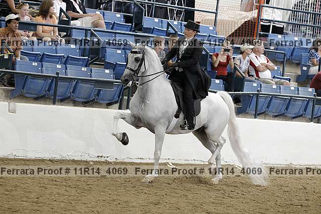 Proof 11r14_4069