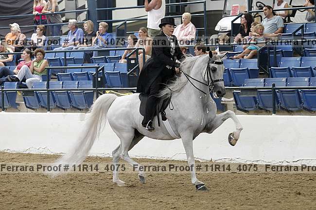Proof 11r14_4075