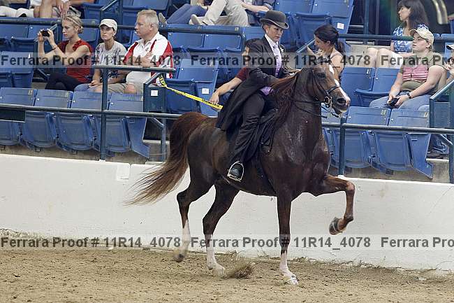 Proof 11r14_4078