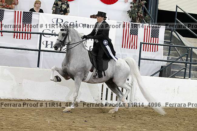 Proof 11r14_4096