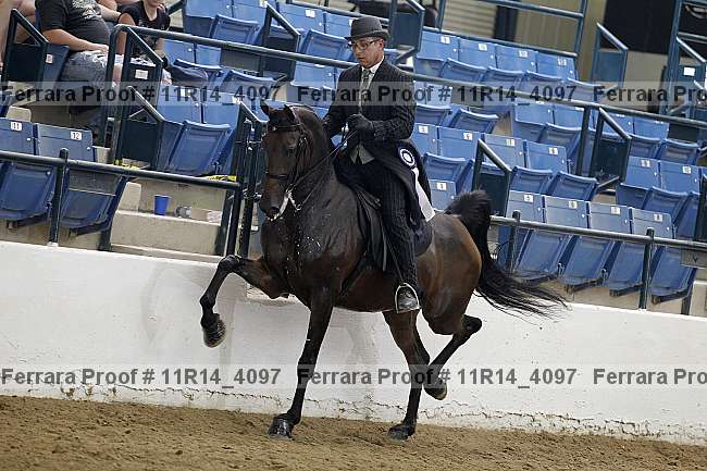 Proof 11r14_4097