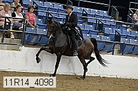 11r14_4098 proof