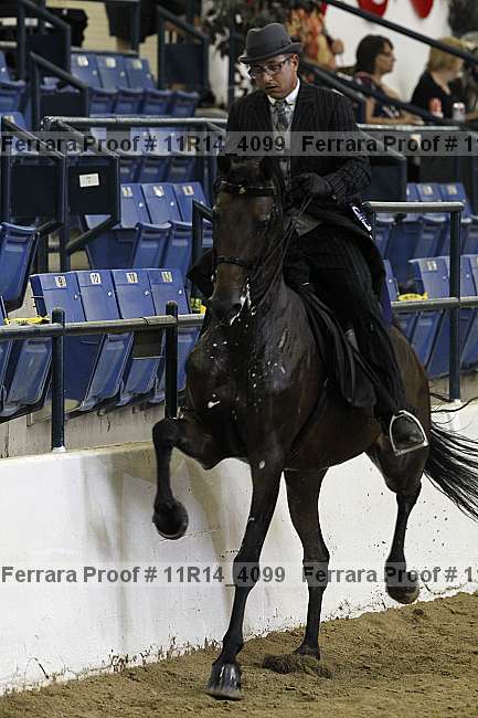 Proof 11r14_4099