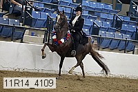 11r14_4109 proof